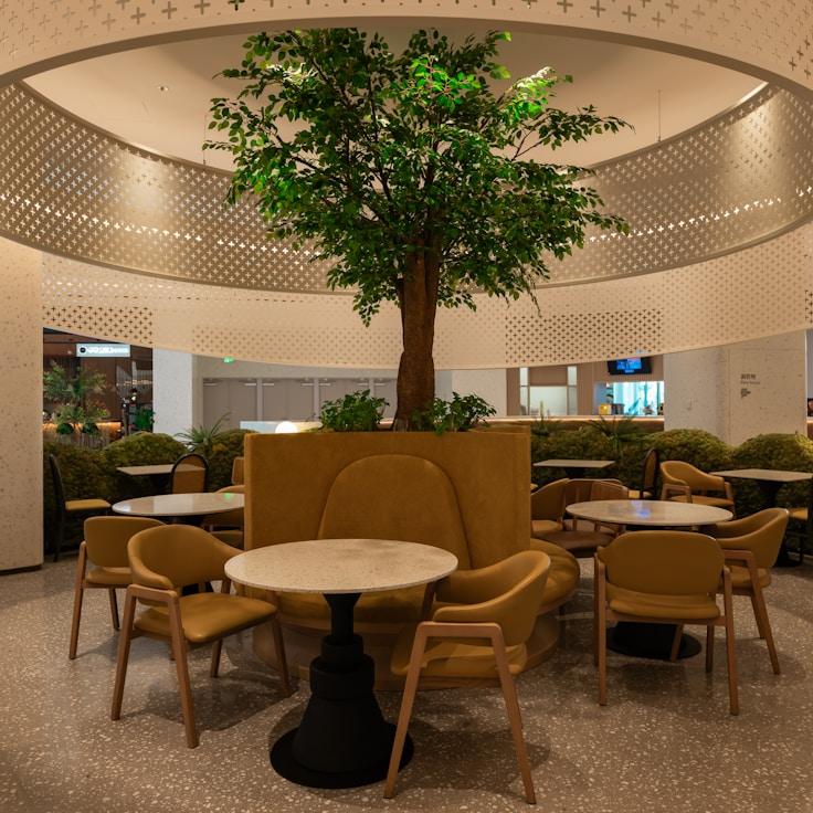 School choices for expat families in London, United Kingdom